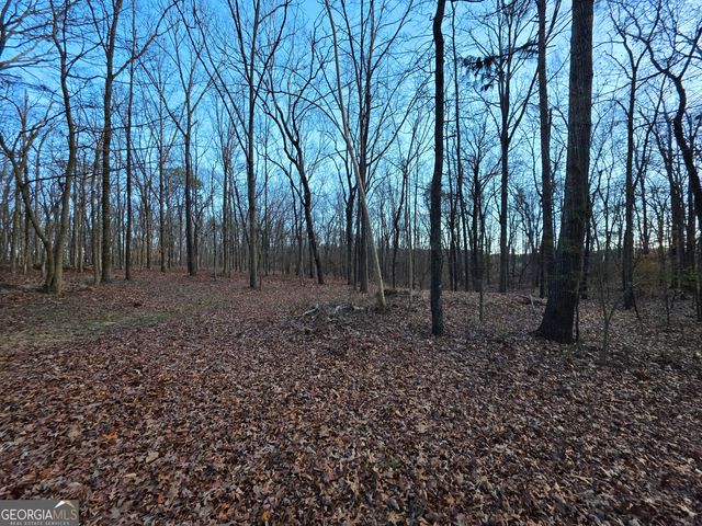 3879 Caney Head Road, Franklin, GA 30217