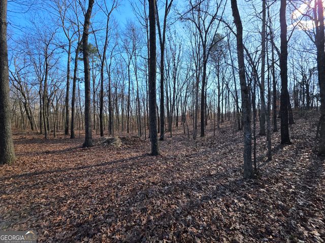 3879 Caney Head Road, Franklin, GA 30217