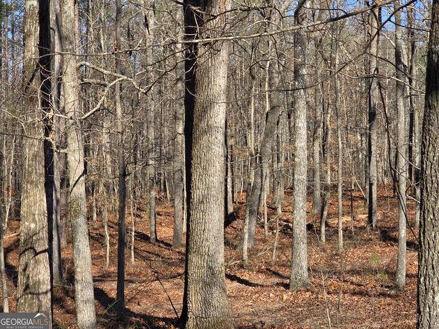 3879 Caney Head Road, Franklin, GA 30217