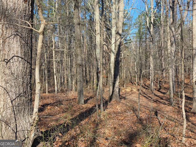 3879 Caney Head Road, Franklin, GA 30217