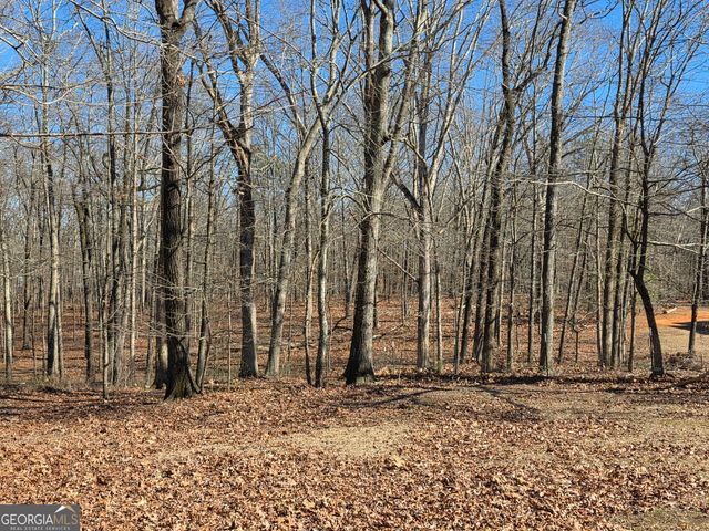 3879 Caney Head Road, Franklin, GA 30217