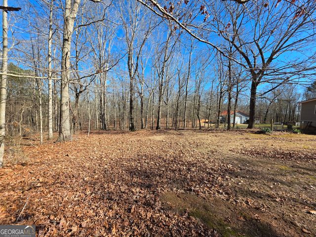 3879 Caney Head Road, Franklin, GA 30217