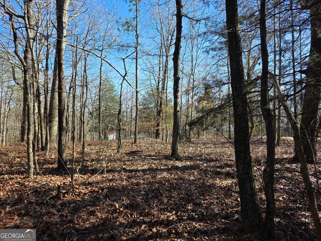 3879 Caney Head Road, Franklin, GA 30217