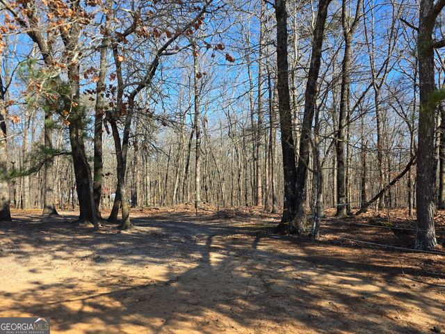 3879 Caney Head Road, Franklin, GA 30217