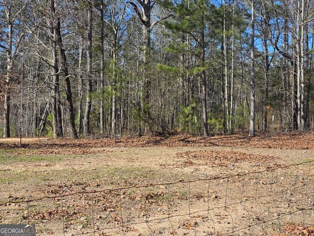 3879 Caney Head Road, Franklin, GA 30217