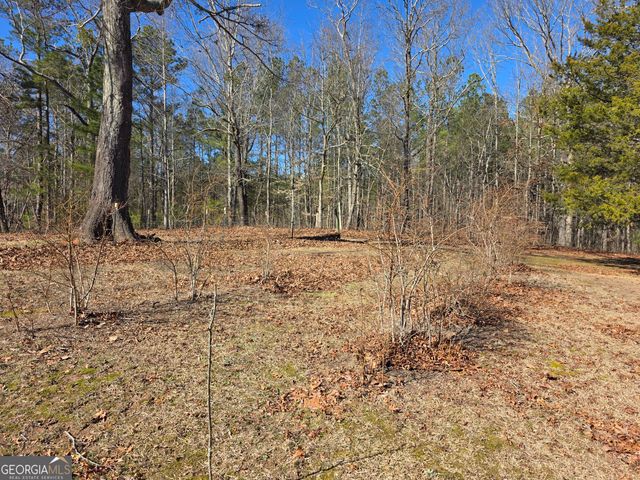 3879 Caney Head Road, Franklin, GA 30217