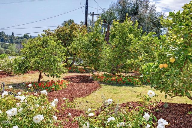 98 Howard Avenue, Oak View, CA 93022