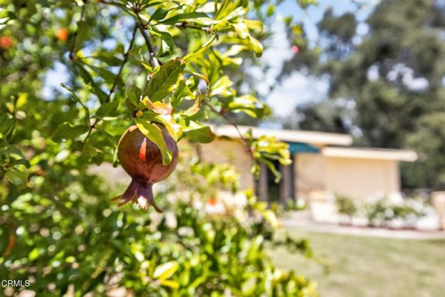 98 Howard Avenue, Oak View, CA 93022