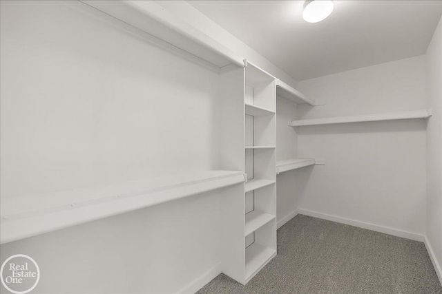 50606 Summit View Drive, Macomb Twp, MI 48044