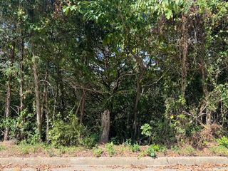 Lot 22 Rose Oneill Drive, Branson, MO 65616