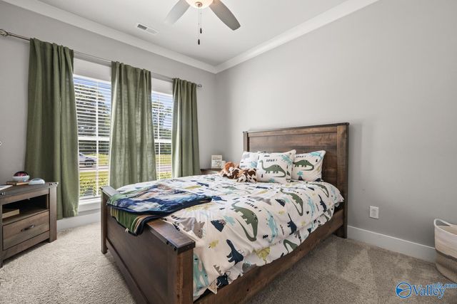 29458 Carnaby Lane, Toney, AL 35773