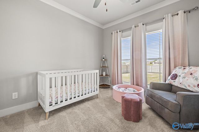 29458 Carnaby Lane, Toney, AL 35773