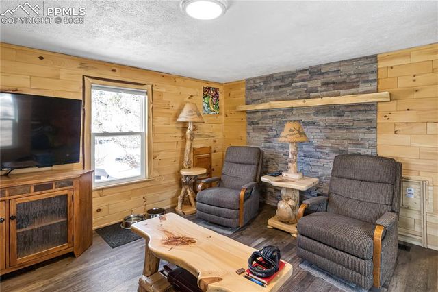 358 Fern Road, Woodland Park, CO 80863