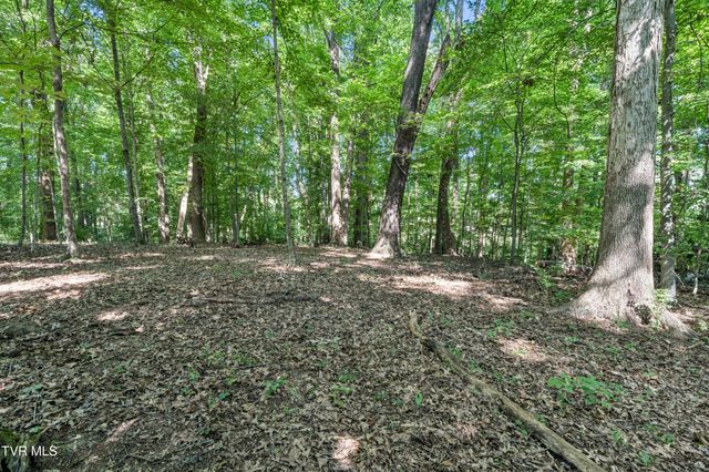 107 Jason Lane, Jonesborough, TN 37659