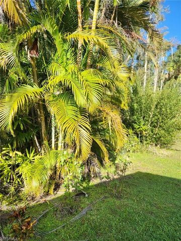 10823 Ani CIR, Estero, FL 33928