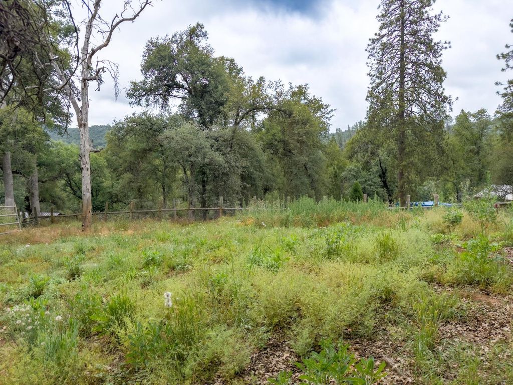 Image 51 of property listing at 36686 Mattie Fhy Court, Coarsegold, CA 93614