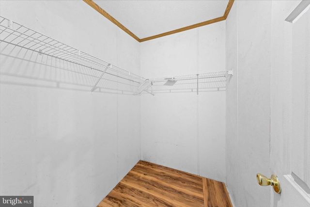 25997 BUTLER BRANCH RD, Seaford, DE 19973