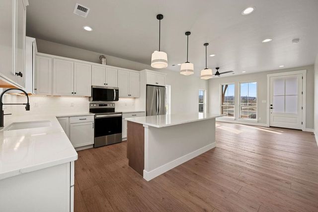 362 Toms Canyon Drive, Fruita, CO 81521