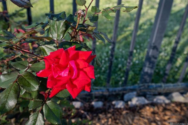 18329 Manchac Place South, Prairieville, LA 70769