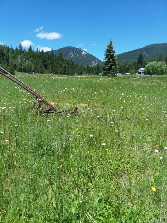 77 Wildwood Drive, De Borgia, MT 59830 photo 1