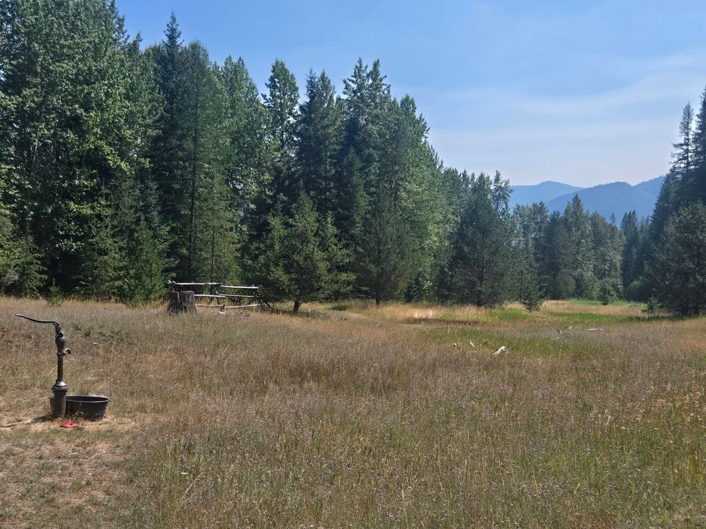 77 Wildwood Drive, De Borgia, MT 59830 photo 5