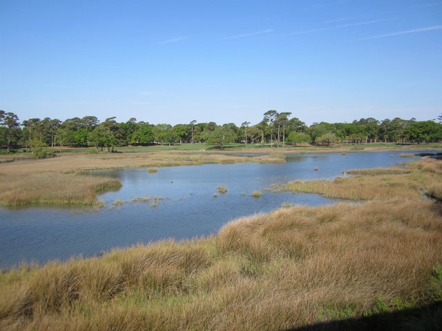 135 Marshland Ct., Myrtle Beach, SC 29572