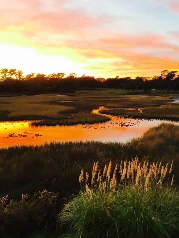 135 Marshland Ct., Myrtle Beach, SC 29572