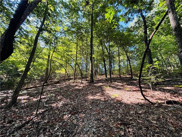 2602 Marion County 8050, Yellville, AR 72687