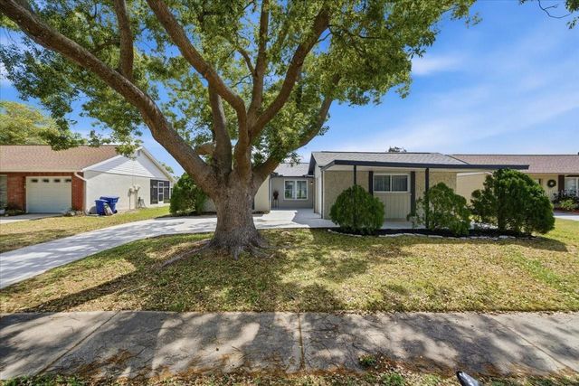 3142 LOOMIS DRIVE, New Port Richey, FL 34655