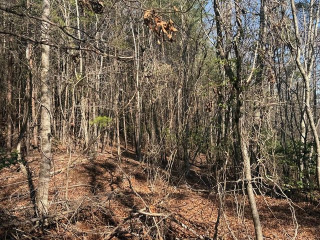 Lot 4 Willow Ridge, Warne, NC 28909
