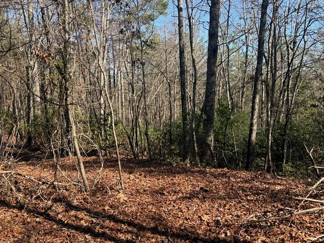 Lot 4 Willow Ridge, Warne, NC 28909