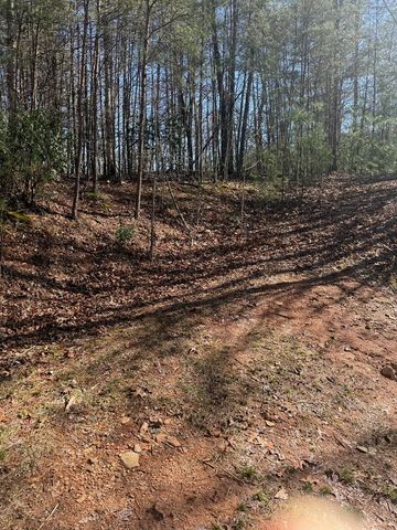 Lot 4 Willow Ridge, Warne, NC 28909