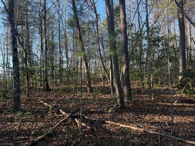 Lot 4 Willow Ridge, Warne, NC 28909