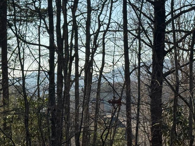 Lot 4 Willow Ridge, Warne, NC 28909