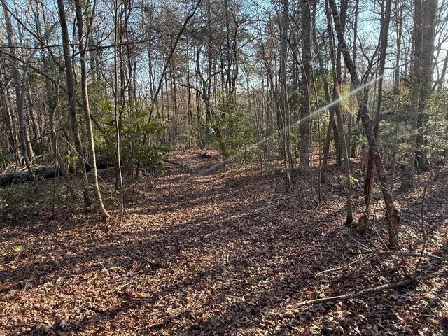 Lot 4 Willow Ridge, Warne, NC 28909