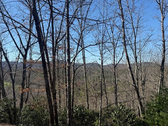 Lot 4 Willow Ridge, Warne, NC 28909