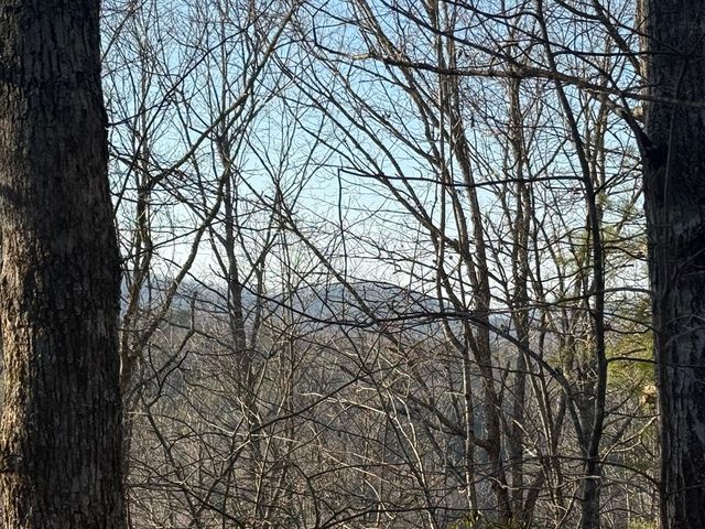 Lot 4 Willow Ridge, Warne, NC 28909