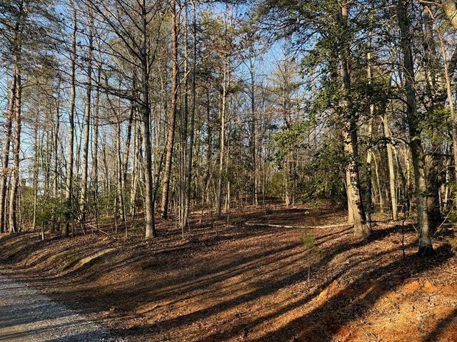 Lot 4 Willow Ridge, Warne, NC 28909