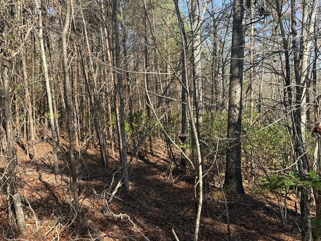 Lot 4 Willow Ridge, Warne, NC 28909