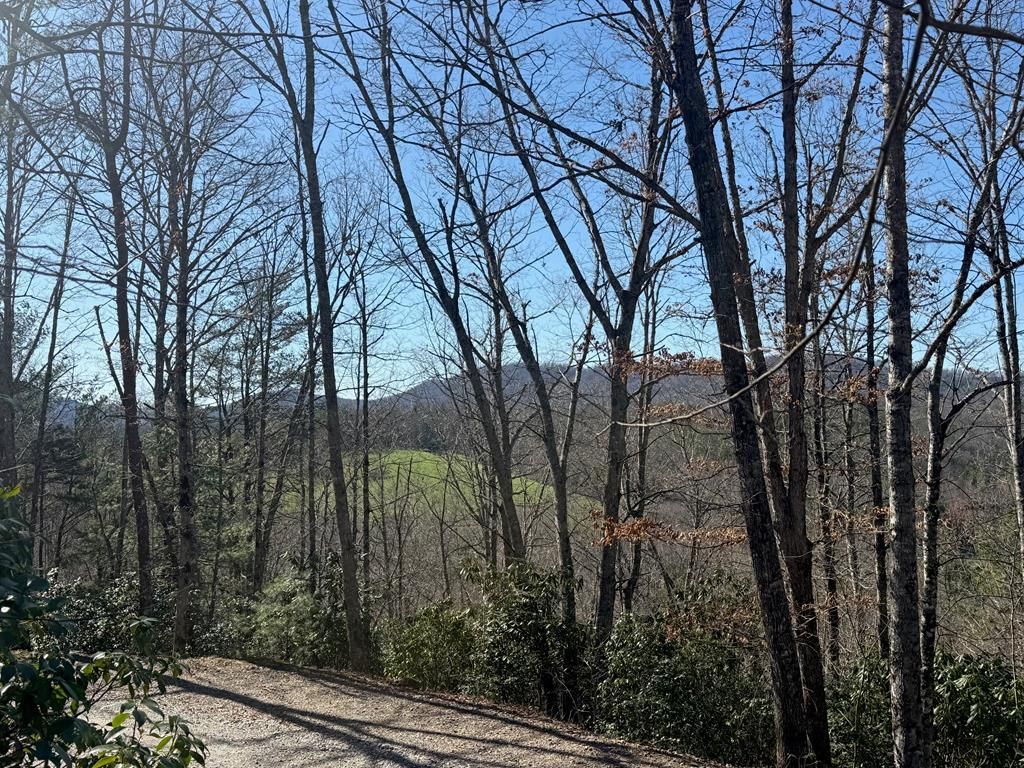 Lot 4 Willow Ridge, Warne, NC 28909