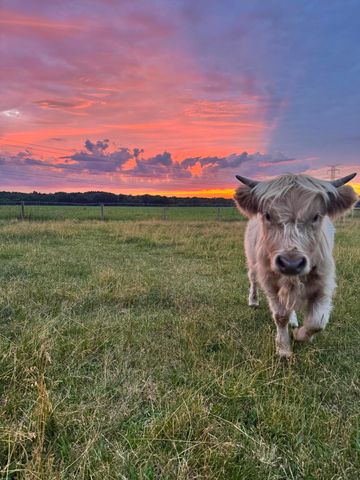 8900 Cleveland Road, Greenwood Twp, MI 49421