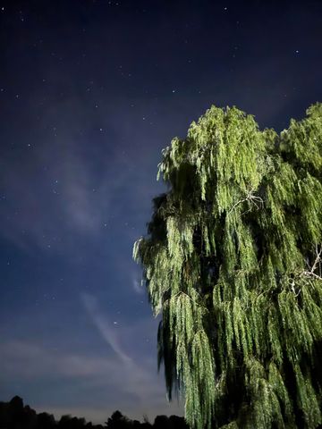 8900 Cleveland Road, Greenwood Twp, MI 49421