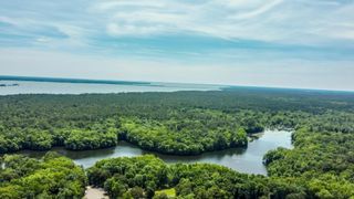 0 Loblolly Court, Elloree, SC 29047