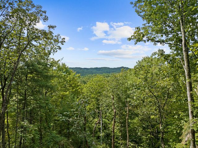 21 Mountain View Trail, Cherry Log, GA 30572