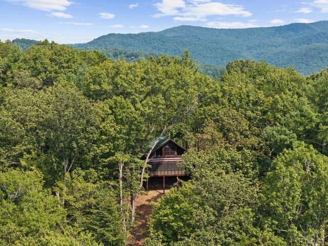 21 Mountain View Trail, Cherry Log, GA 30572
