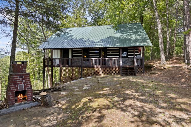 21 Mountain View Trail, Cherry Log, GA 30572