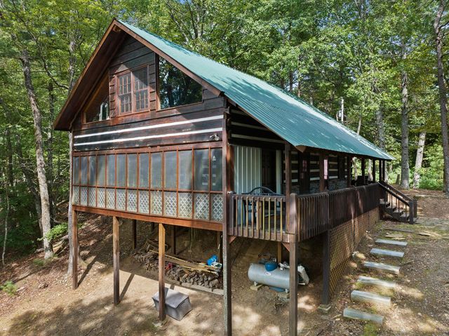 21 Mountain View Trail, Cherry Log, GA 30572