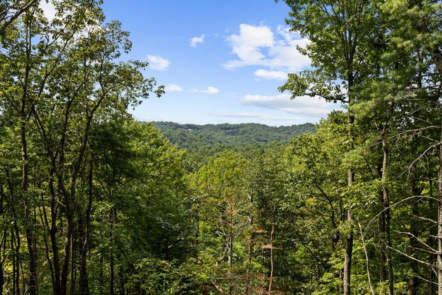 21 Mountain View Trail, Cherry Log, GA 30572