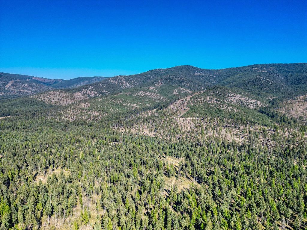 NHN N Dayton Creek Road, Proctor, MT 59929 photo 42