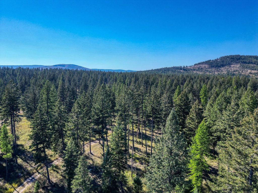 NHN N Dayton Creek Road, Proctor, MT 59929 photo 44